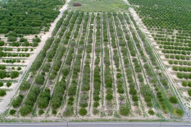 SCENIC HIGHWAY, FROSTPROOF, Florida 33843, ,Land,For Sale,SCENIC,K4901378