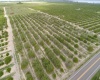 SCENIC HIGHWAY, FROSTPROOF, Florida 33843, ,Land,For Sale,SCENIC,K4901378