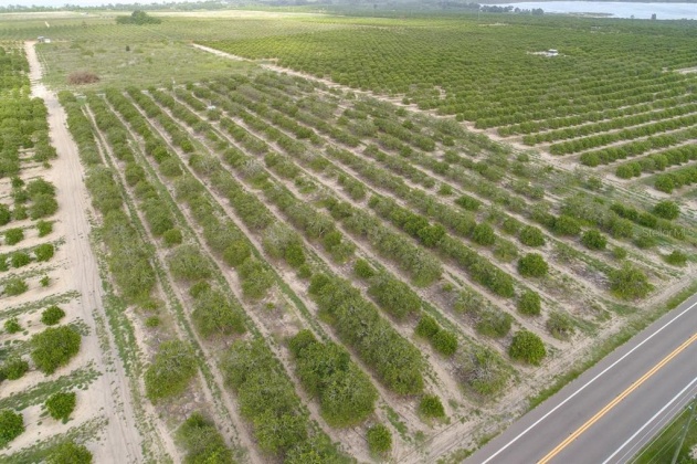 SCENIC HIGHWAY, FROSTPROOF, Florida 33843, ,Land,For Sale,SCENIC,K4901378