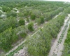 SCENIC HIGHWAY, FROSTPROOF, Florida 33843, ,Land,For Sale,SCENIC,K4901378