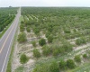SCENIC HIGHWAY, FROSTPROOF, Florida 33843, ,Land,For Sale,SCENIC,K4901378