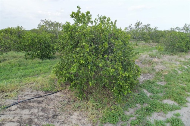 SCENIC HIGHWAY, FROSTPROOF, Florida 33843, ,Land,For Sale,SCENIC,K4901378