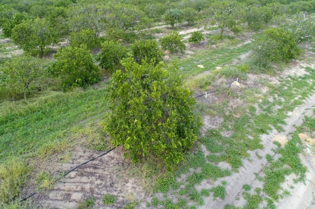 SCENIC HIGHWAY, FROSTPROOF, Florida 33843, ,Land,For Sale,SCENIC,K4901378