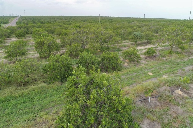 SCENIC HIGHWAY, FROSTPROOF, Florida 33843, ,Land,For Sale,SCENIC,K4901378