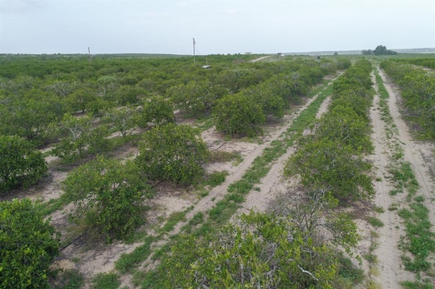 SCENIC HIGHWAY, FROSTPROOF, Florida 33843, ,Land,For Sale,SCENIC,K4901378