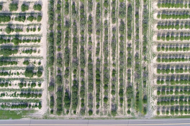 SCENIC HIGHWAY, FROSTPROOF, Florida 33843, ,Land,For Sale,SCENIC,K4901378