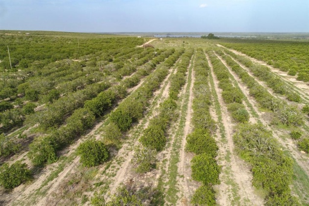 SCENIC HIGHWAY, FROSTPROOF, Florida 33843, ,Land,For Sale,SCENIC,K4901378