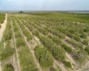 SCENIC HIGHWAY, FROSTPROOF, Florida 33843, ,Land,For Sale,SCENIC,K4901378