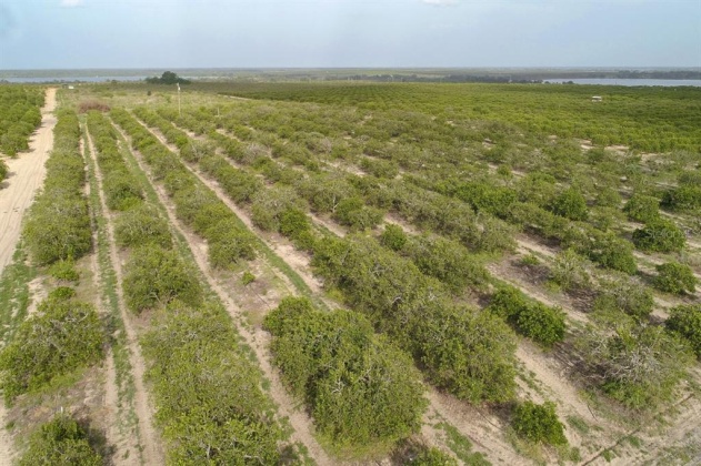 SCENIC HIGHWAY, FROSTPROOF, Florida 33843, ,Land,For Sale,SCENIC,K4901378
