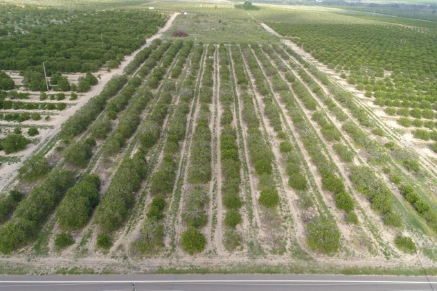 SCENIC HIGHWAY, FROSTPROOF, Florida 33843, ,Land,For Sale,SCENIC,K4901378