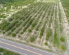 SCENIC HIGHWAY, FROSTPROOF, Florida 33843, ,Land,For Sale,SCENIC,K4901378
