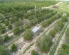 SCENIC HIGHWAY, FROSTPROOF, Florida 33843, ,Land,For Sale,SCENIC,K4901378