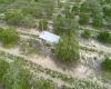 SCENIC HIGHWAY, FROSTPROOF, Florida 33843, ,Land,For Sale,SCENIC,K4901378