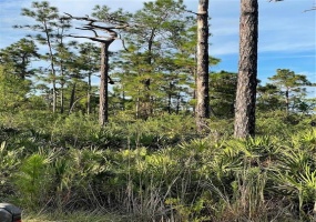 RIVER RANCH, FROSTPROOF, FROSTPROOF, Florida 33843, ,Land,For Sale,RIVER RANCH,FROSTPROOF,S5063814