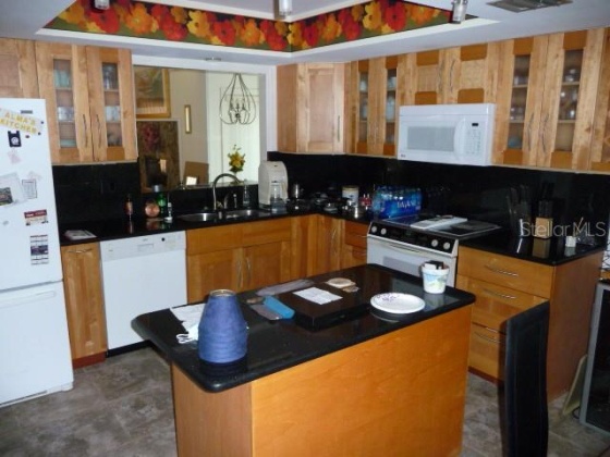 3675 EMERALD LN LANE, MULBERRY, Florida 33860, 3 Bedrooms Bedrooms, ,2 BathroomsBathrooms,Residential,For Sale,EMERALD LN,L4928403