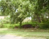 431 DOVE DRIVE, KISSIMMEE, Florida 34759, ,Land,For Sale,DOVE,R4905733
