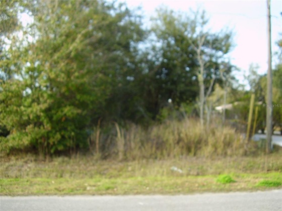 431 DOVE DRIVE, KISSIMMEE, Florida 34759, ,Land,For Sale,DOVE,R4905733
