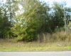 431 DOVE DRIVE, KISSIMMEE, Florida 34759, ,Land,For Sale,DOVE,R4905733