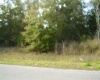 431 DOVE DRIVE, KISSIMMEE, Florida 34759, ,Land,For Sale,DOVE,R4905733