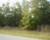 431 DOVE DRIVE, KISSIMMEE, Florida 34759, ,Land,For Sale,DOVE,R4905733