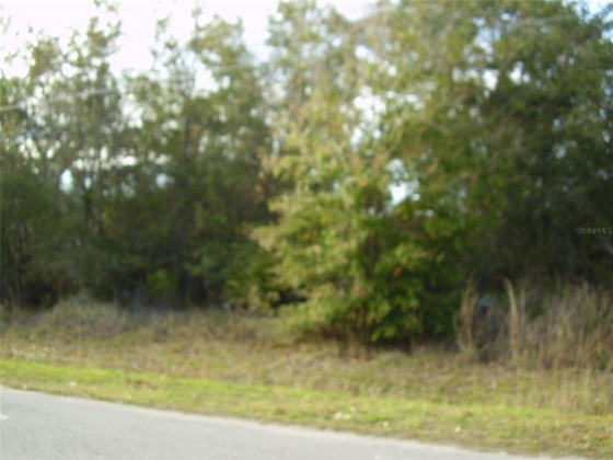 431 DOVE DRIVE, KISSIMMEE, Florida 34759, ,Land,For Sale,DOVE,R4905733