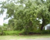 431 DOVE DRIVE, KISSIMMEE, Florida 34759, ,Land,For Sale,DOVE,R4905733