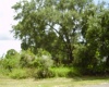431 DOVE DRIVE, KISSIMMEE, Florida 34759, ,Land,For Sale,DOVE,R4905733