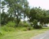 431 DOVE DRIVE, KISSIMMEE, Florida 34759, ,Land,For Sale,DOVE,R4905733