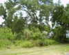 431 DOVE DRIVE, KISSIMMEE, Florida 34759, ,Land,For Sale,DOVE,R4905733
