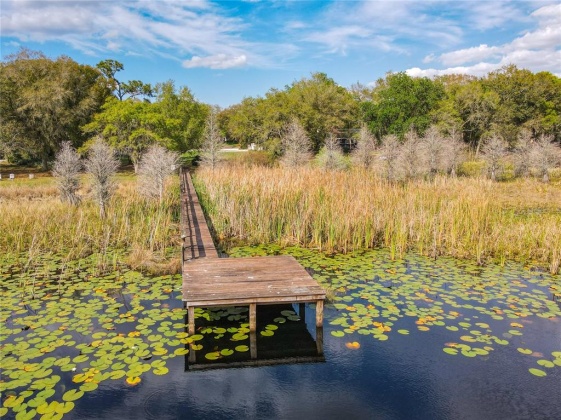4106 SHOAL GREEN COURT, WINTER HAVEN, Florida 33884, 3 Bedrooms Bedrooms, ,2 BathroomsBathrooms,Residential,For Sale,SHOAL GREEN,P4919715