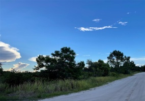 0 OLD HOMESTEAD STREET, LAKE WALES, Florida 33859, ,Land,For Sale,OLD HOMESTEAD,O6008586