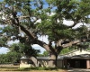 BANNON ISLAND ROAD, HAINES CITY, Florida 33844, ,Land,For Sale,BANNON ISLAND,P4719784