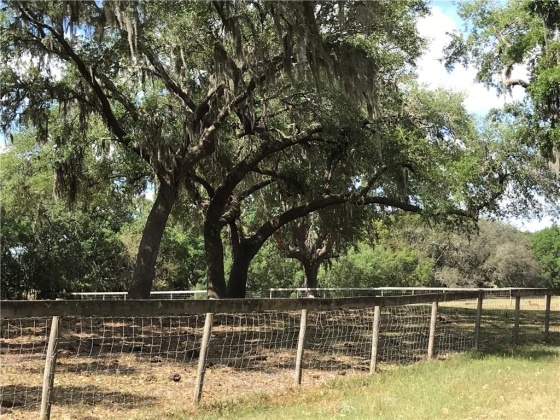 BANNON ISLAND ROAD, HAINES CITY, Florida 33844, ,Land,For Sale,BANNON ISLAND,P4719784