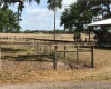 BANNON ISLAND ROAD, HAINES CITY, Florida 33844, ,Land,For Sale,BANNON ISLAND,P4719784