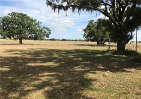 BANNON ISLAND ROAD, HAINES CITY, Florida 33844, ,Land,For Sale,BANNON ISLAND,P4719784