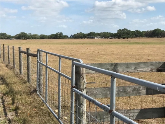 BANNON ISLAND ROAD, HAINES CITY, Florida 33844, ,Land,For Sale,BANNON ISLAND,P4719784