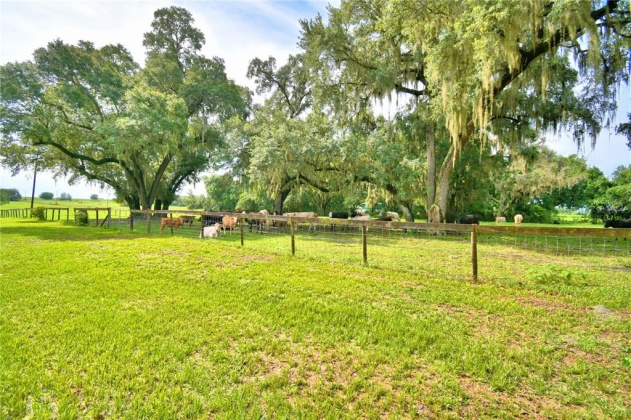 4880 BANNON ISLAND ROAD, HAINES CITY, Florida 33844, 3 Bedrooms Bedrooms, ,2 BathroomsBathrooms,Residential,For Sale,BANNON ISLAND,P4916334