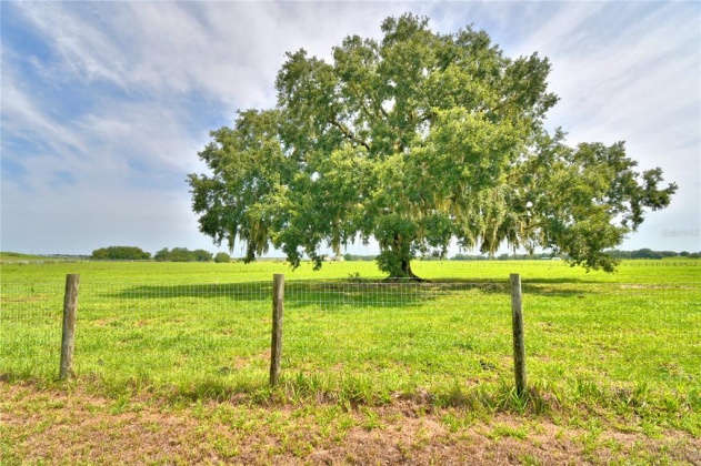 4880 BANNON ISLAND ROAD, HAINES CITY, Florida 33844, 3 Bedrooms Bedrooms, ,2 BathroomsBathrooms,Residential,For Sale,BANNON ISLAND,P4916334