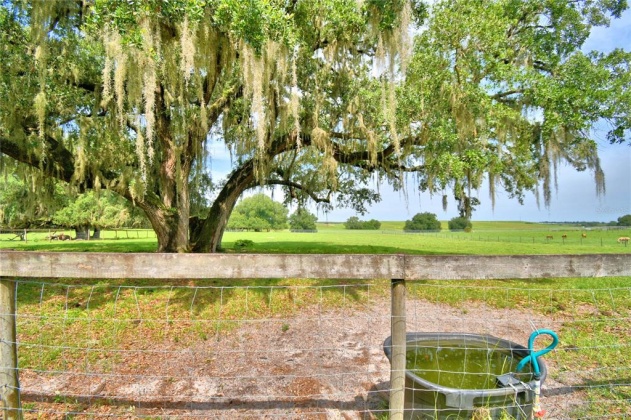 4880 BANNON ISLAND ROAD, HAINES CITY, Florida 33844, 3 Bedrooms Bedrooms, ,2 BathroomsBathrooms,Residential,For Sale,BANNON ISLAND,P4916334