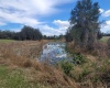 ANDERSON ROAD, LAKE WALES, Florida 33898, ,Land,For Sale,ANDERSON,P4919758