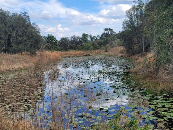 ANDERSON ROAD, LAKE WALES, Florida 33898, ,Land,For Sale,ANDERSON,P4919758