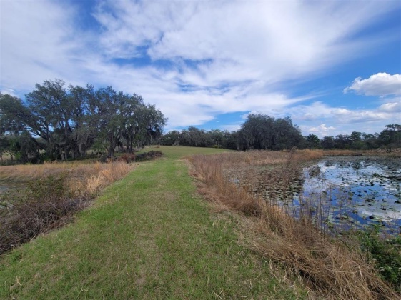 ANDERSON ROAD, LAKE WALES, Florida 33898, ,Land,For Sale,ANDERSON,P4919758