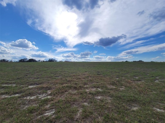 ANDERSON ROAD, LAKE WALES, Florida 33898, ,Land,For Sale,ANDERSON,P4919758