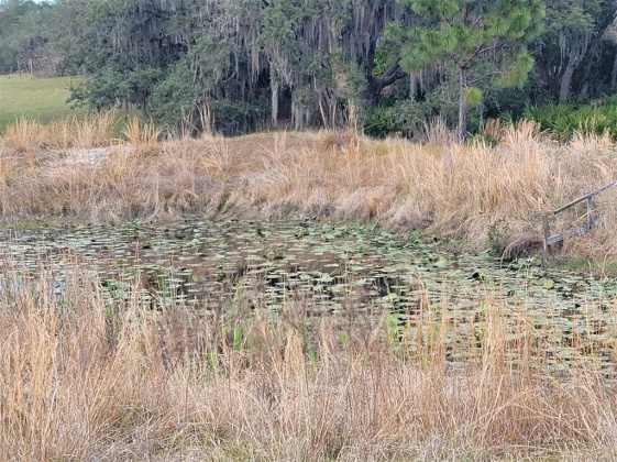 ANDERSON ROAD, LAKE WALES, Florida 33898, ,Land,For Sale,ANDERSON,P4919758