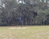 ANDERSON ROAD, LAKE WALES, Florida 33898, ,Land,For Sale,ANDERSON,P4919758