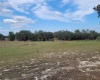 ANDERSON ROAD, LAKE WALES, Florida 33898, ,Land,For Sale,ANDERSON,P4919758