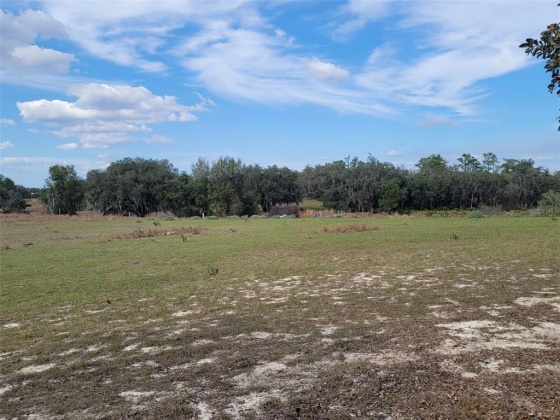 ANDERSON ROAD, LAKE WALES, Florida 33898, ,Land,For Sale,ANDERSON,P4919758