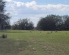 ANDERSON ROAD, LAKE WALES, Florida 33898, ,Land,For Sale,ANDERSON,P4919758