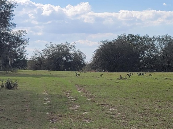ANDERSON ROAD, LAKE WALES, Florida 33898, ,Land,For Sale,ANDERSON,P4919758
