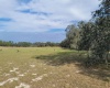 ANDERSON ROAD, LAKE WALES, Florida 33898, ,Land,For Sale,ANDERSON,P4919758
